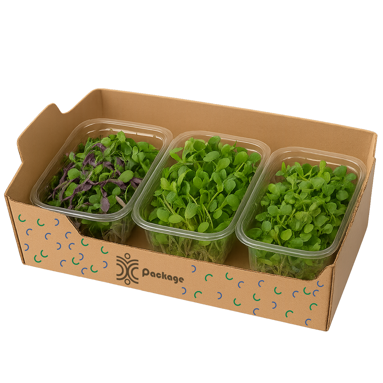 Vital Microgreens Mix (Medium)