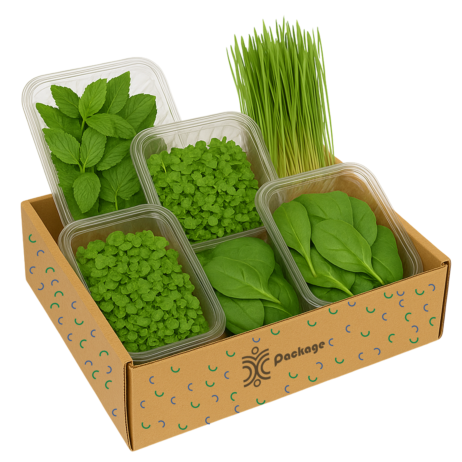 Immunity Green Boost (Medium)