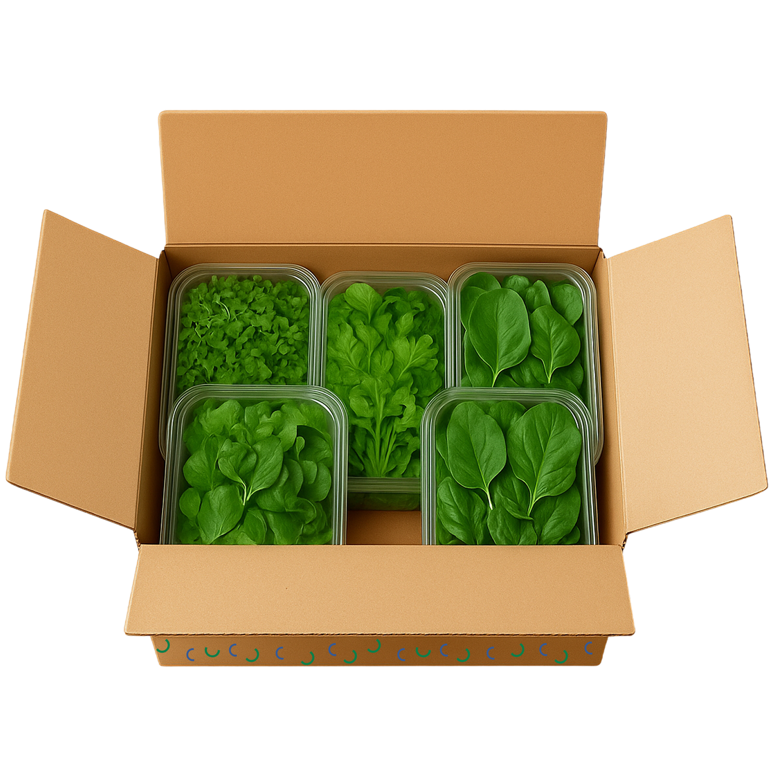 Immunity Booster Pack (Big)