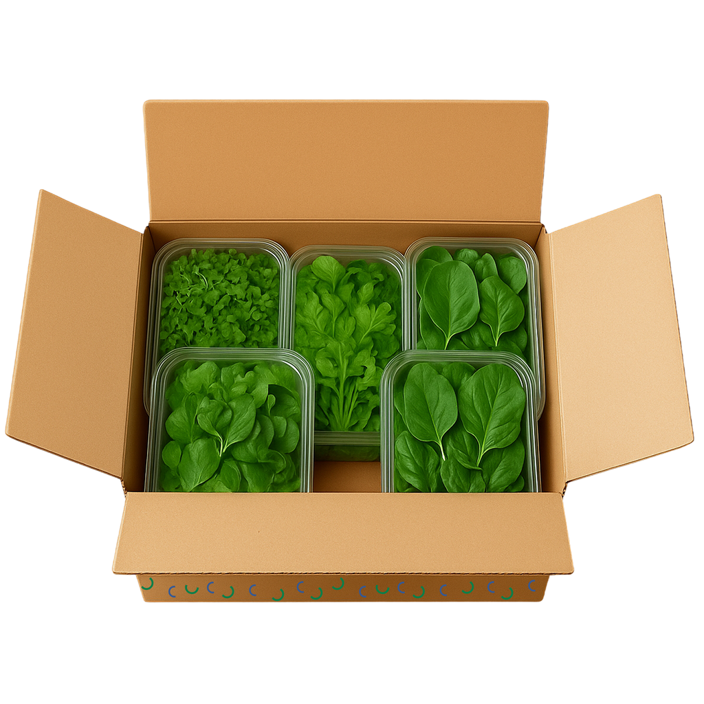 Immunity Booster Pack (Big)