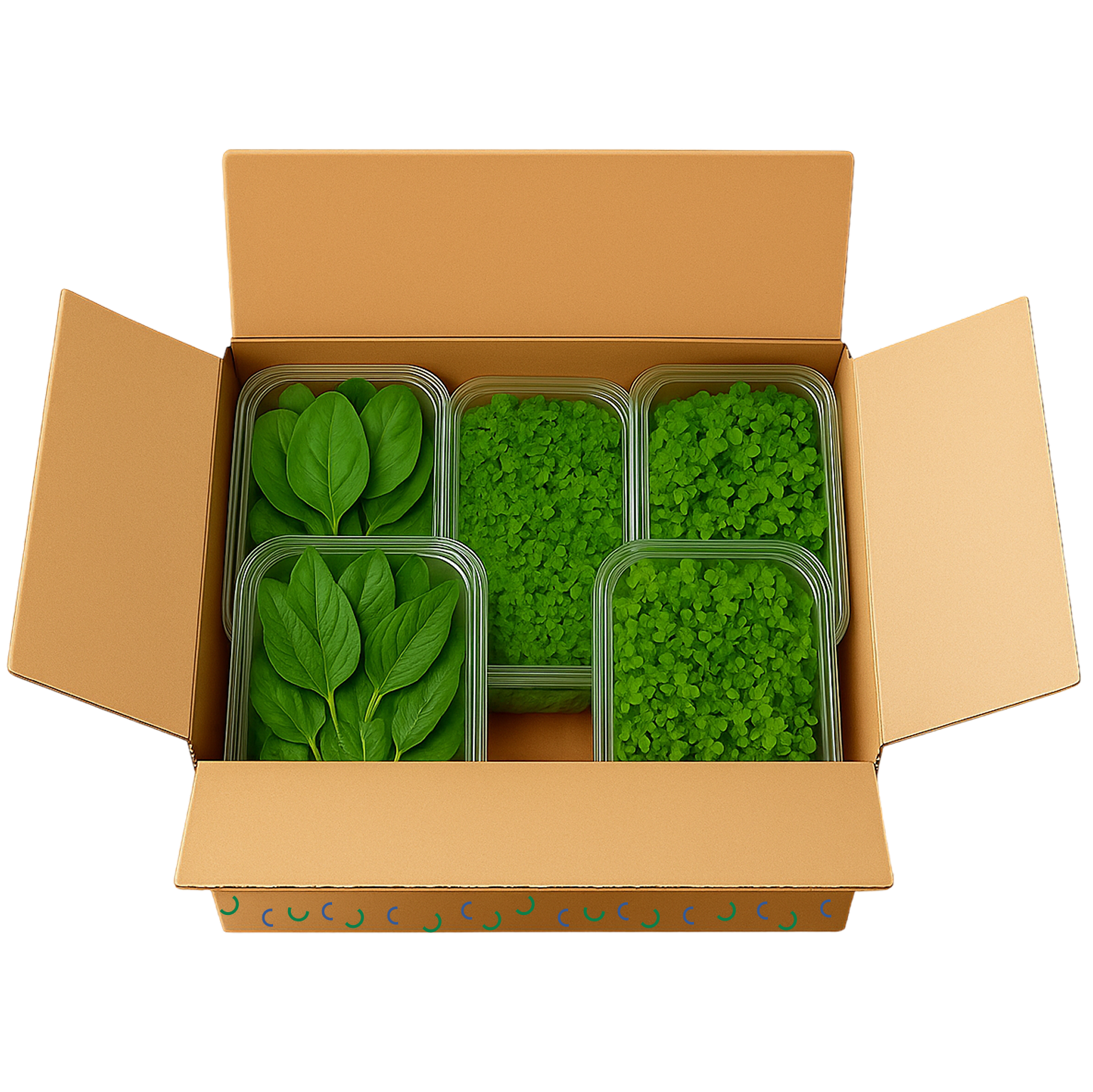 Smoothie Starter Box (Medium)