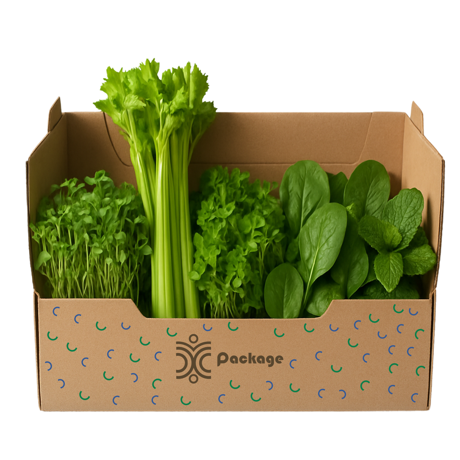 Hydration Box (Medium)