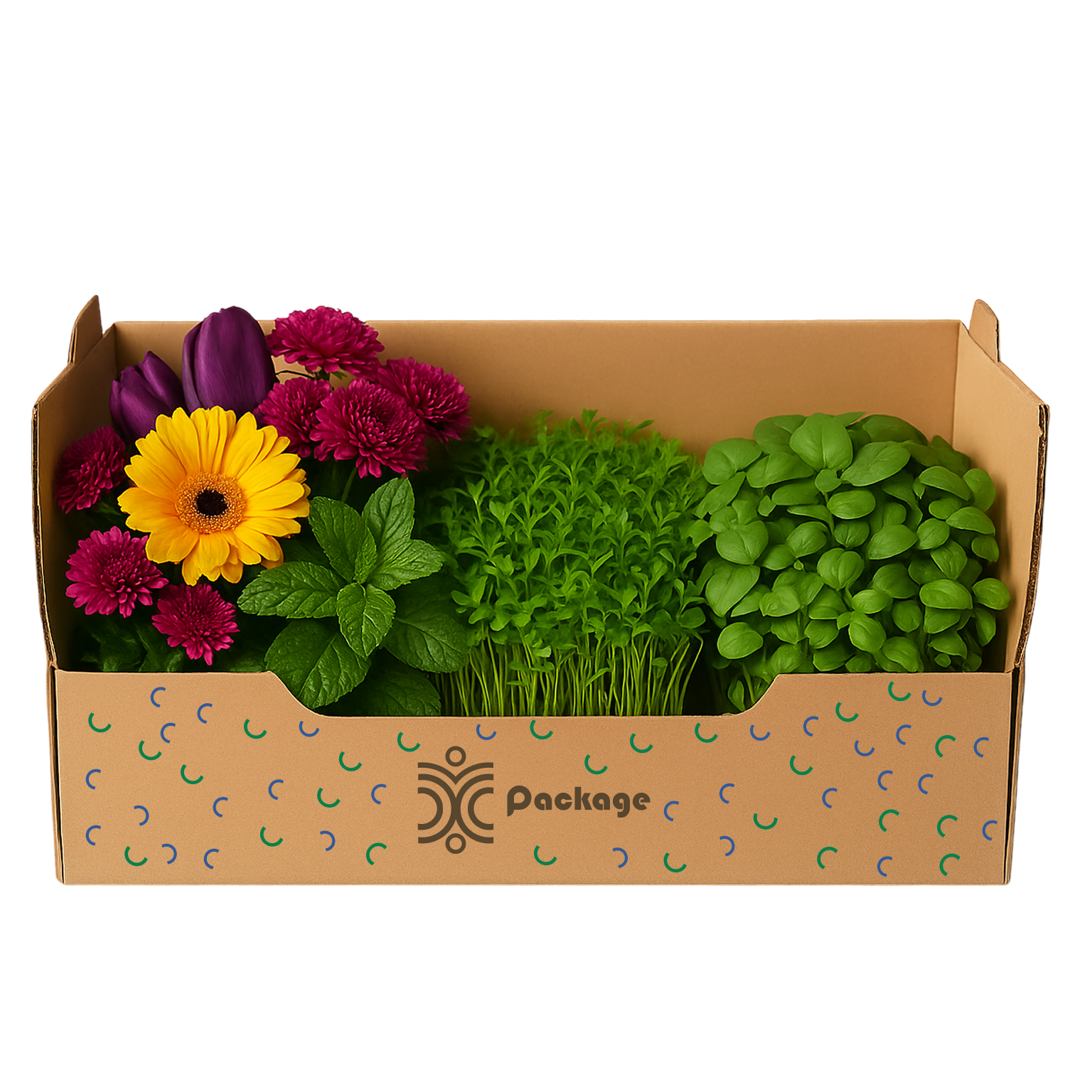 Relax & Glow Box (Big)