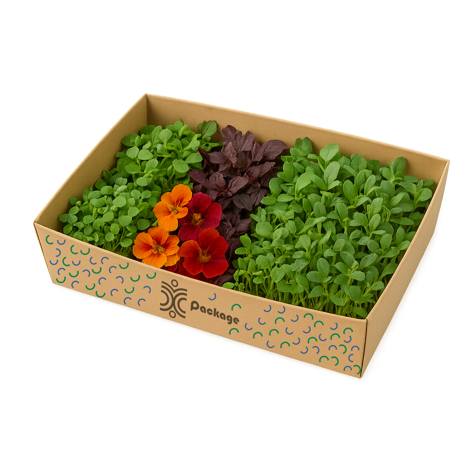 Fine Dining Chef Box (Big)