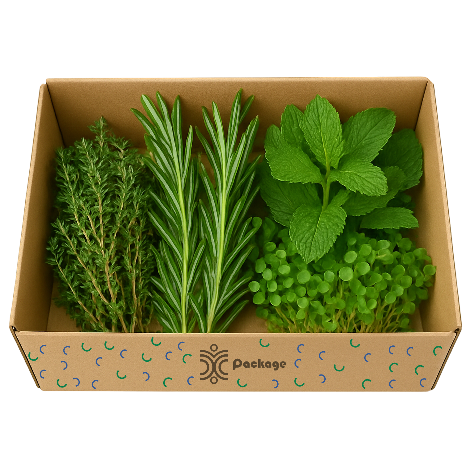 BBQ & Grill Companion (Medium)