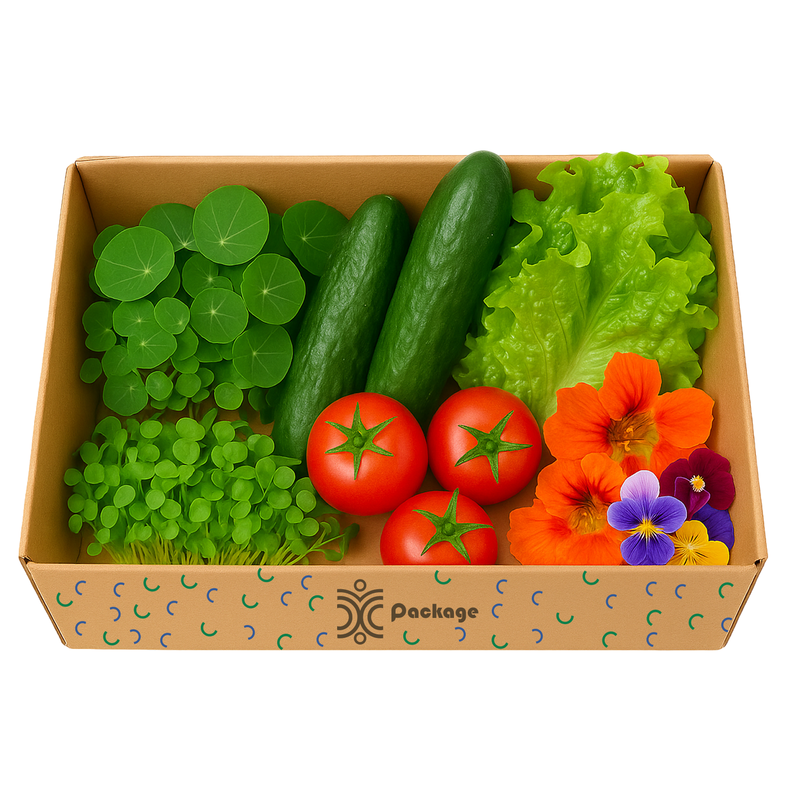 Family Fresh Box (Big)