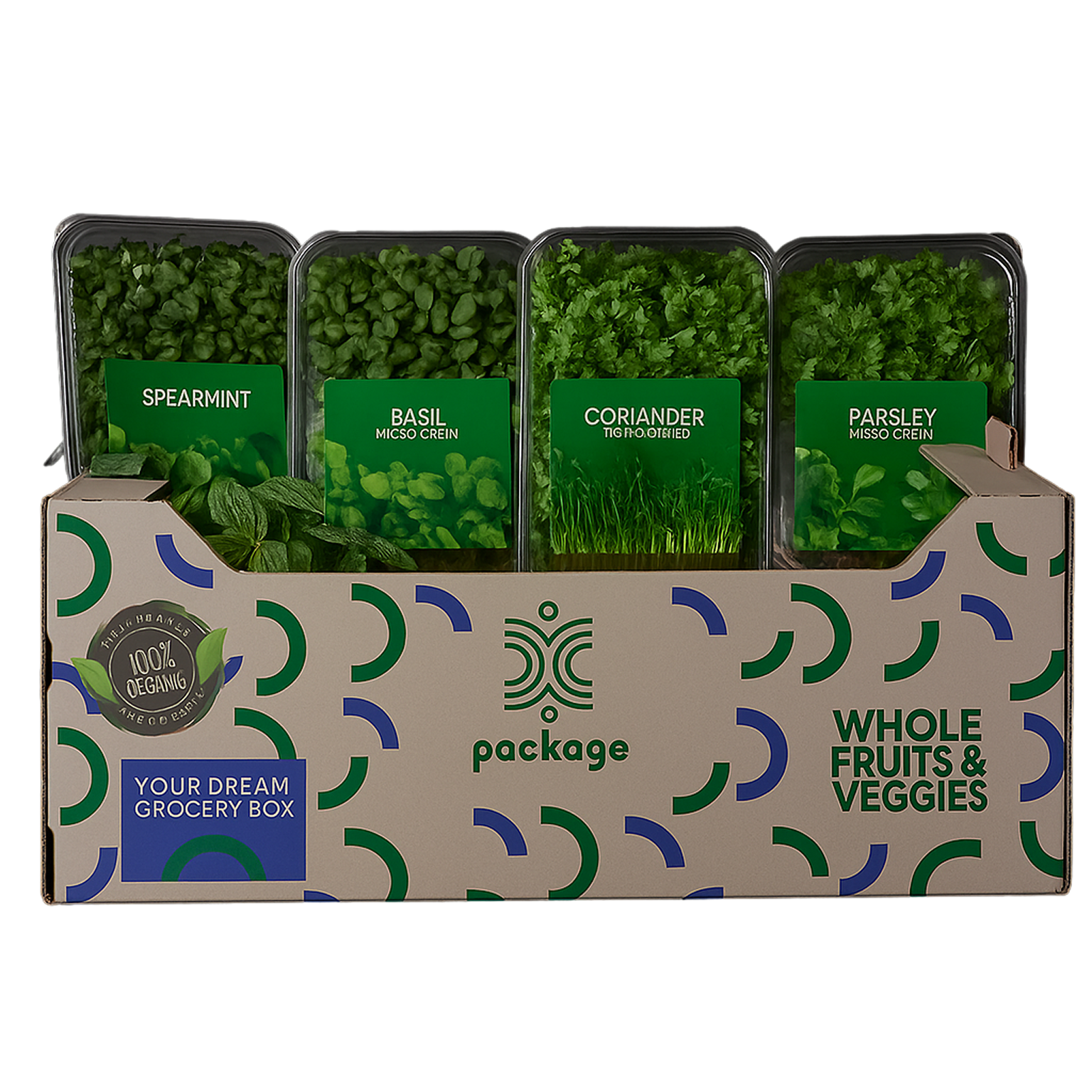 Fresh Herb Essentials (Medium)