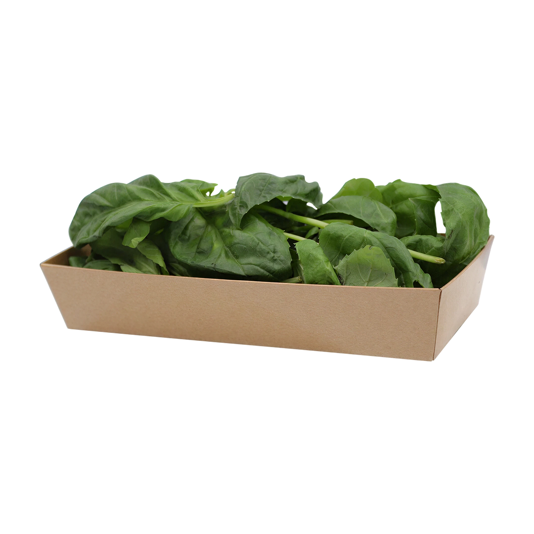 Italian Basil  | Herbs