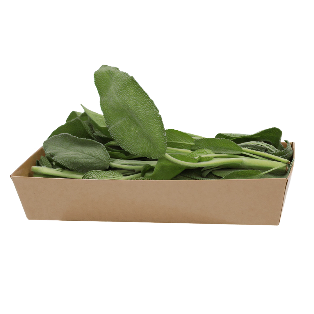 Sage | Herbs