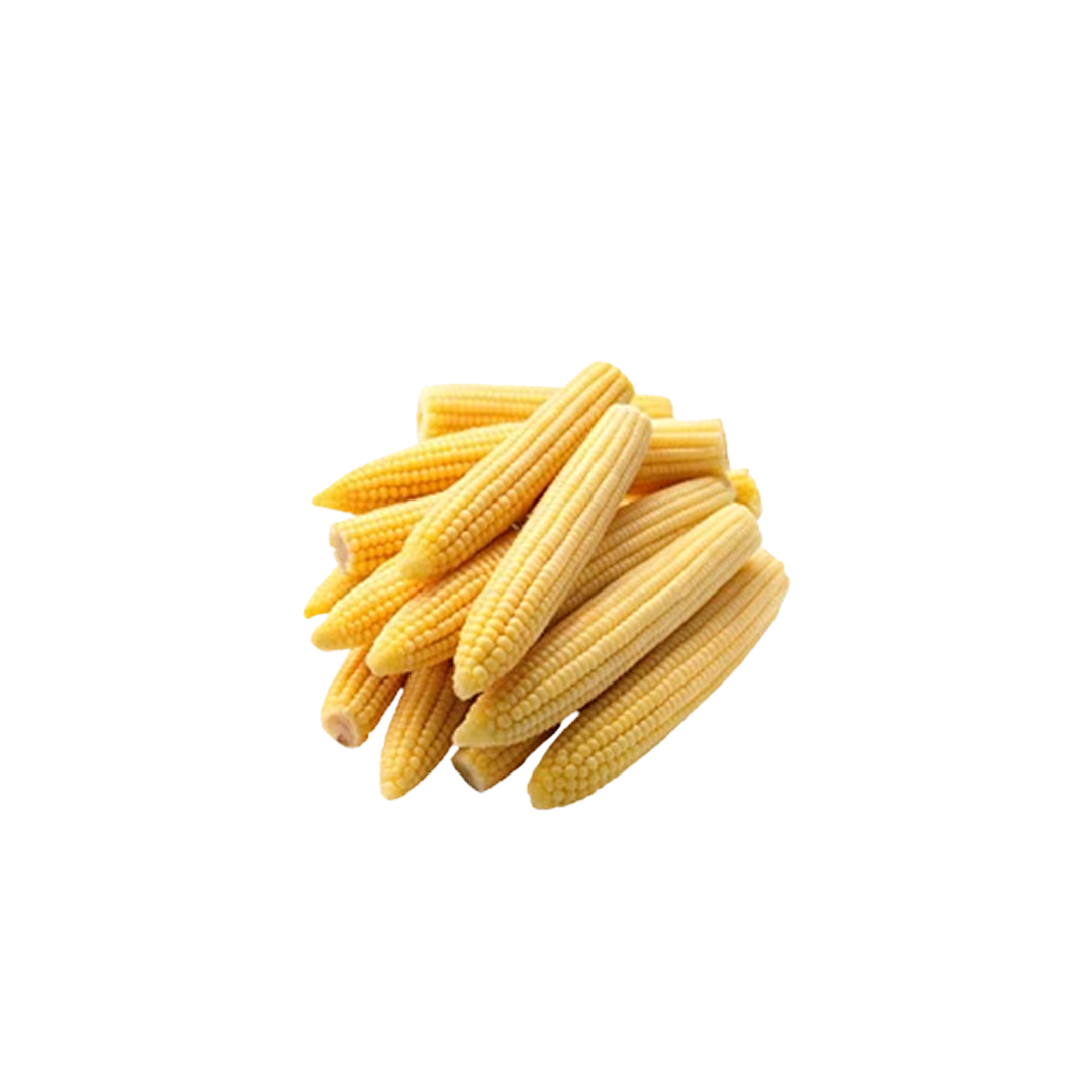 ذرة صغيرة
