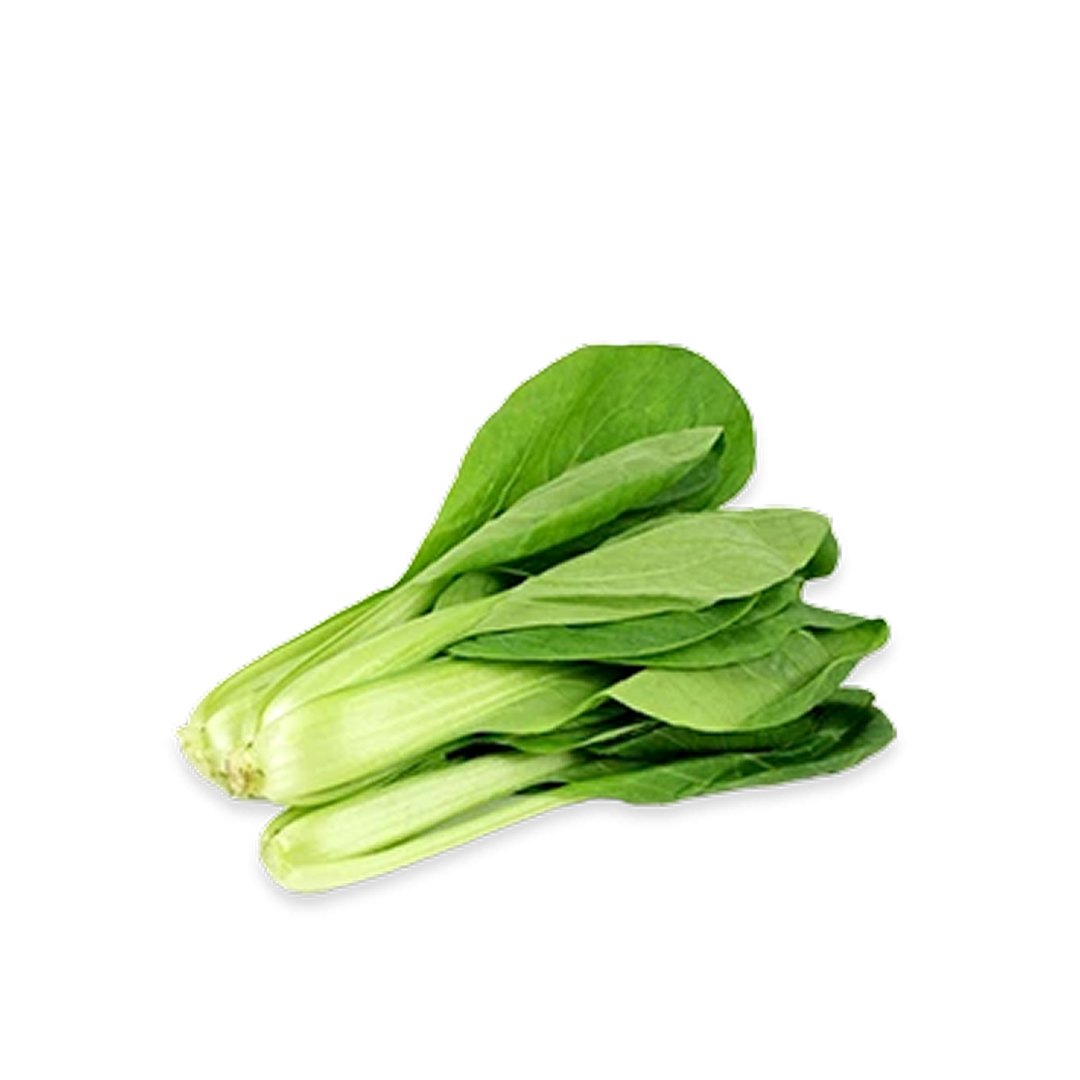 بيبي باك تشوي