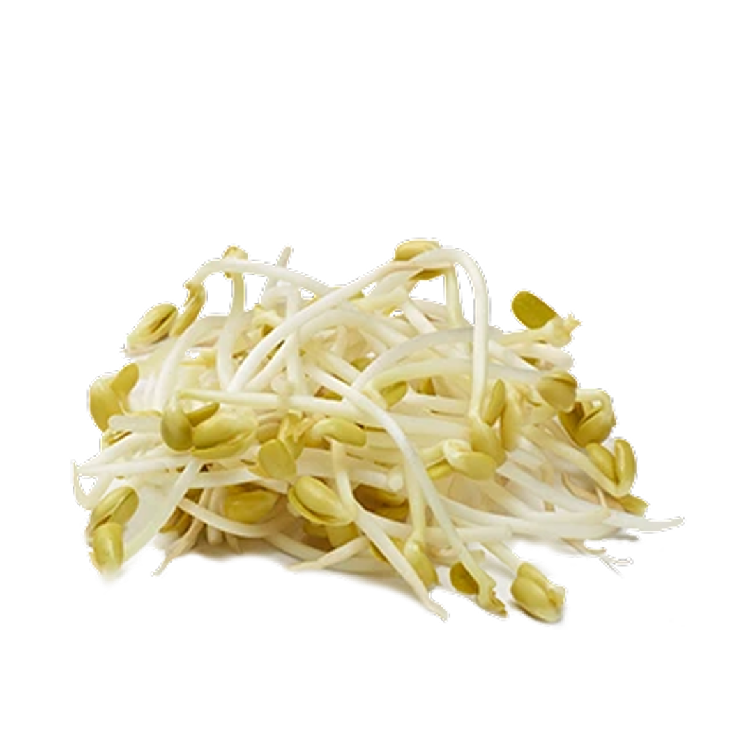 براعم الفاصوليا