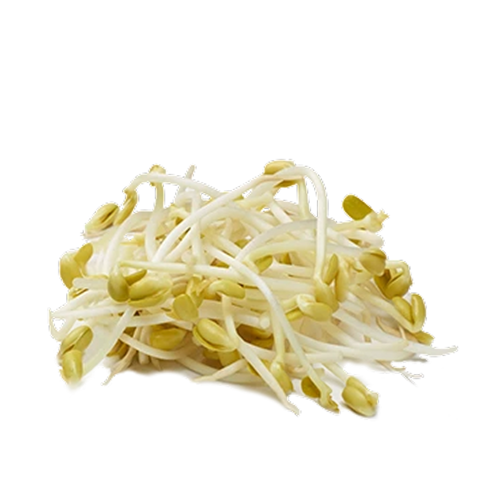 Beans Sprout