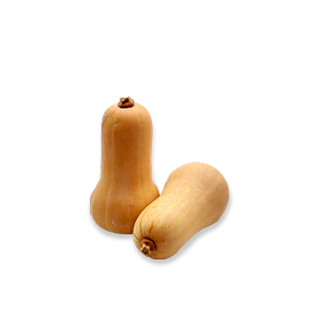 Butternut Pumpkin