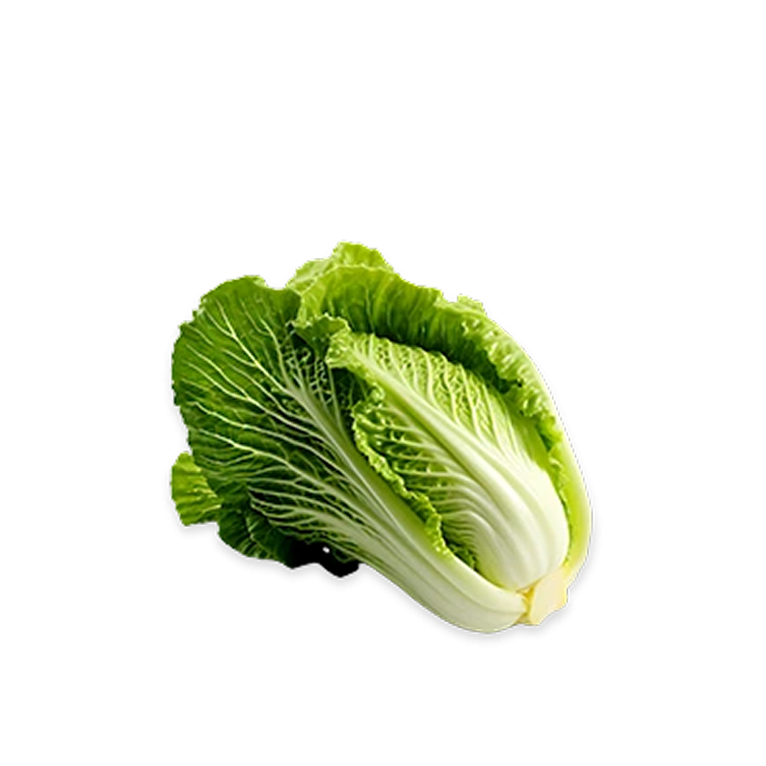 كرنب صيني مقطع ومنظف