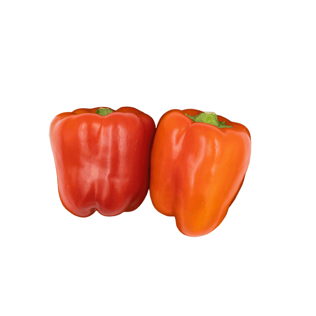 Capsicum Red Imported