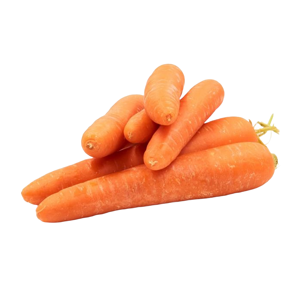 Carrot China