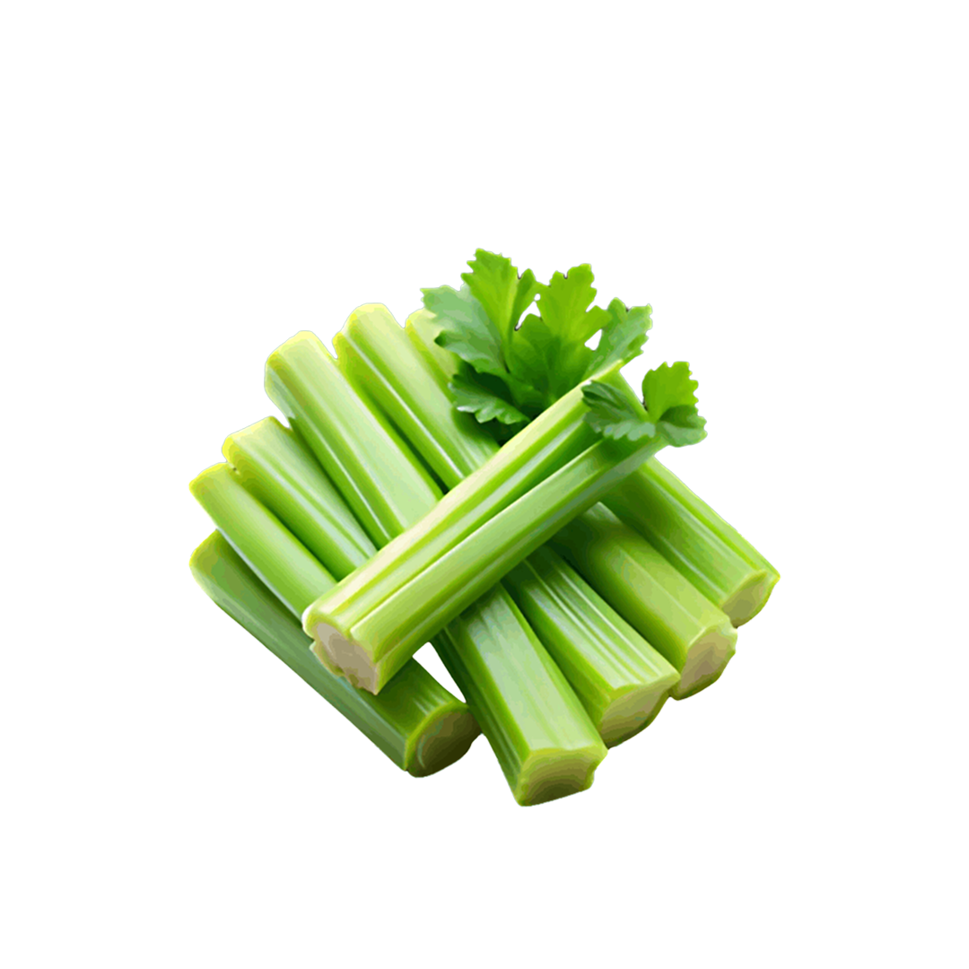 Celery Fresh