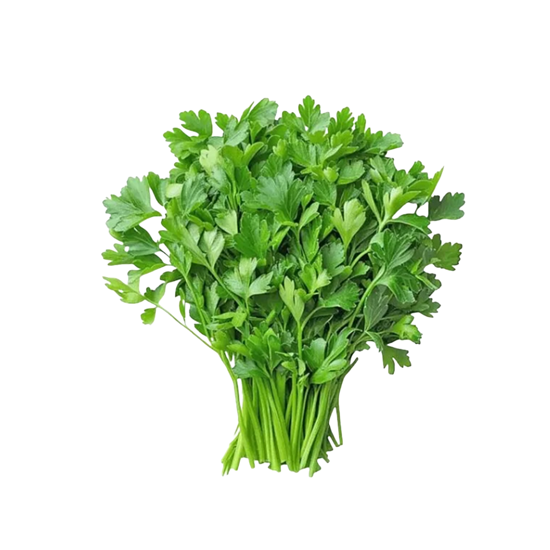 Coriander Leaves Local