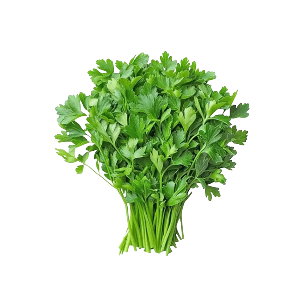 Coriander Leaves Local