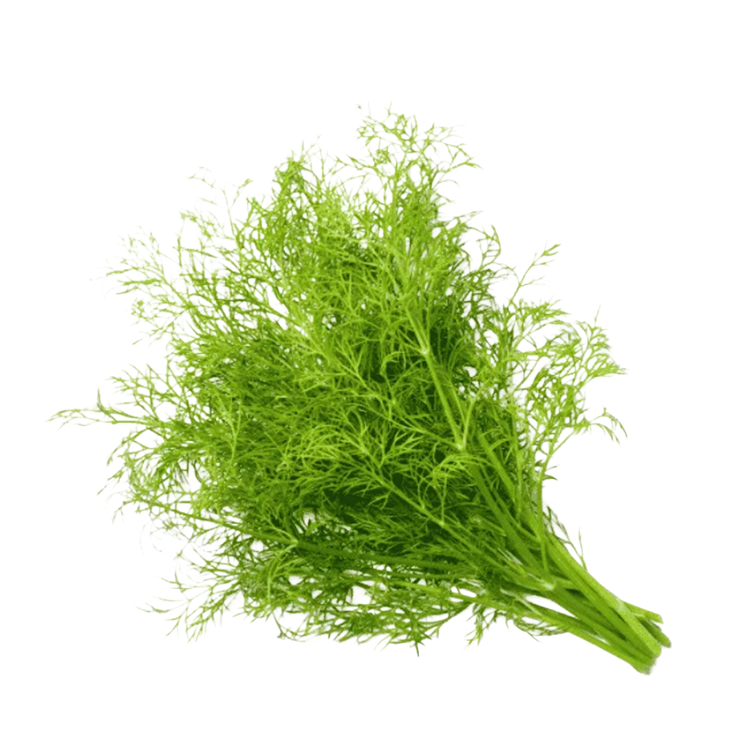 Dill Herbs Bunch Local