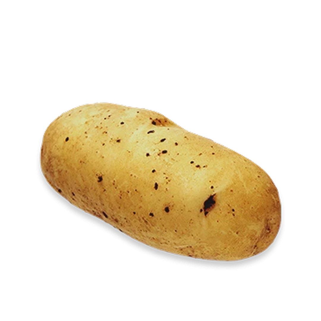 Fingerling Potato