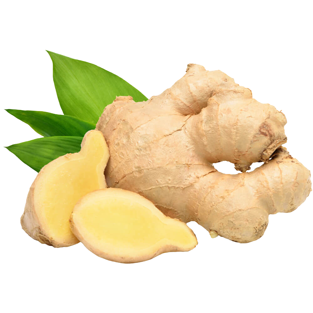 Ginger Fresh
