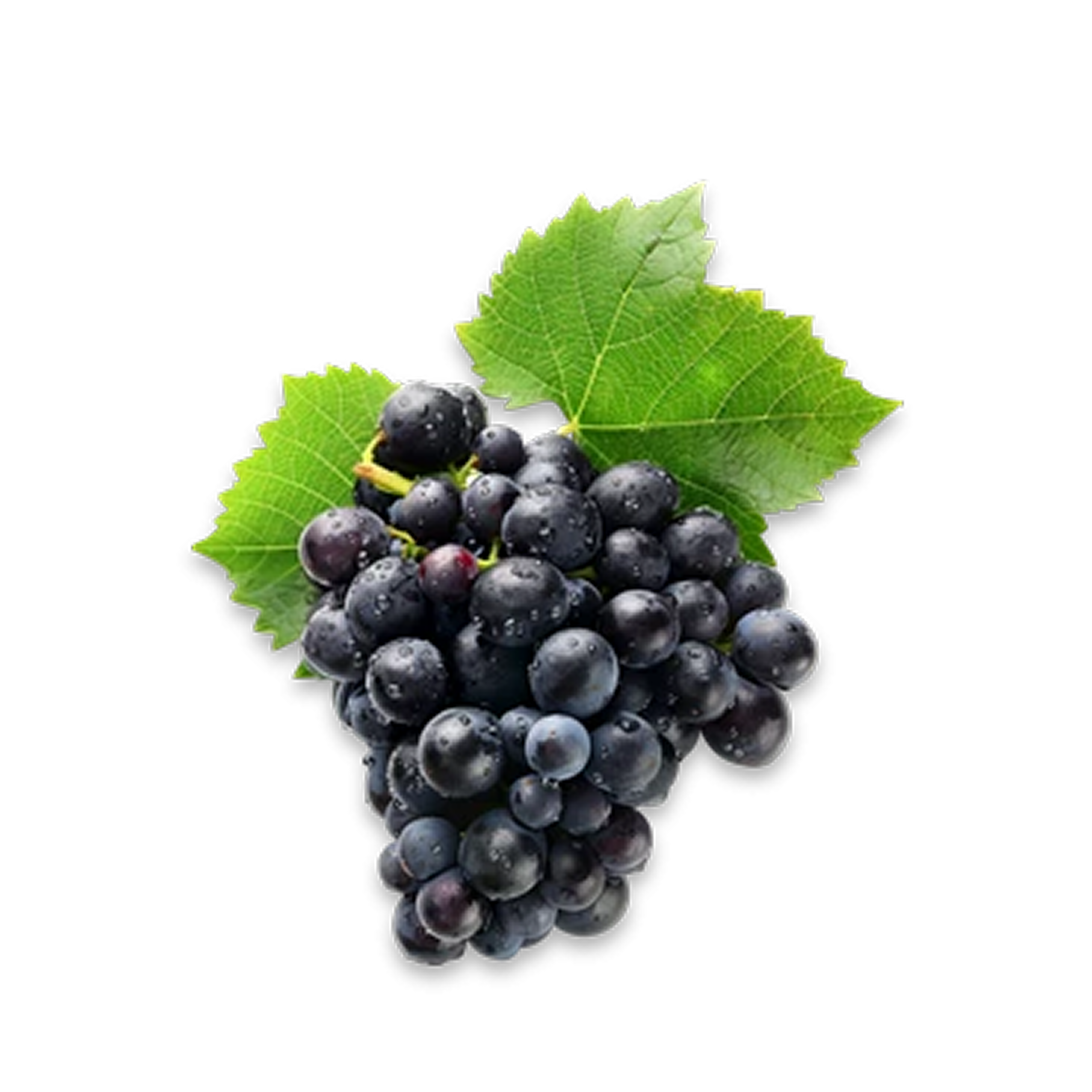 Grapes Black Seedless