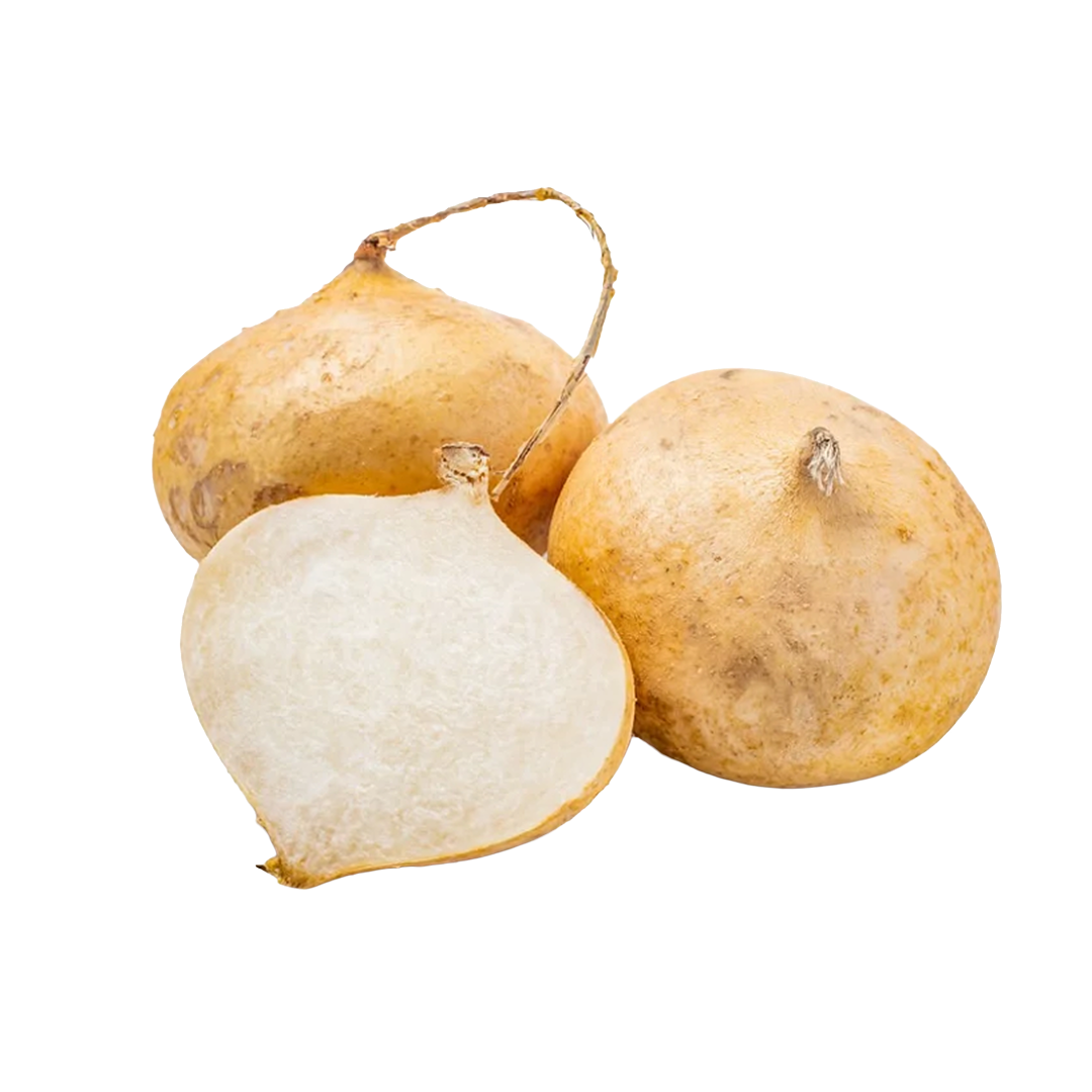 Jicama Fresh