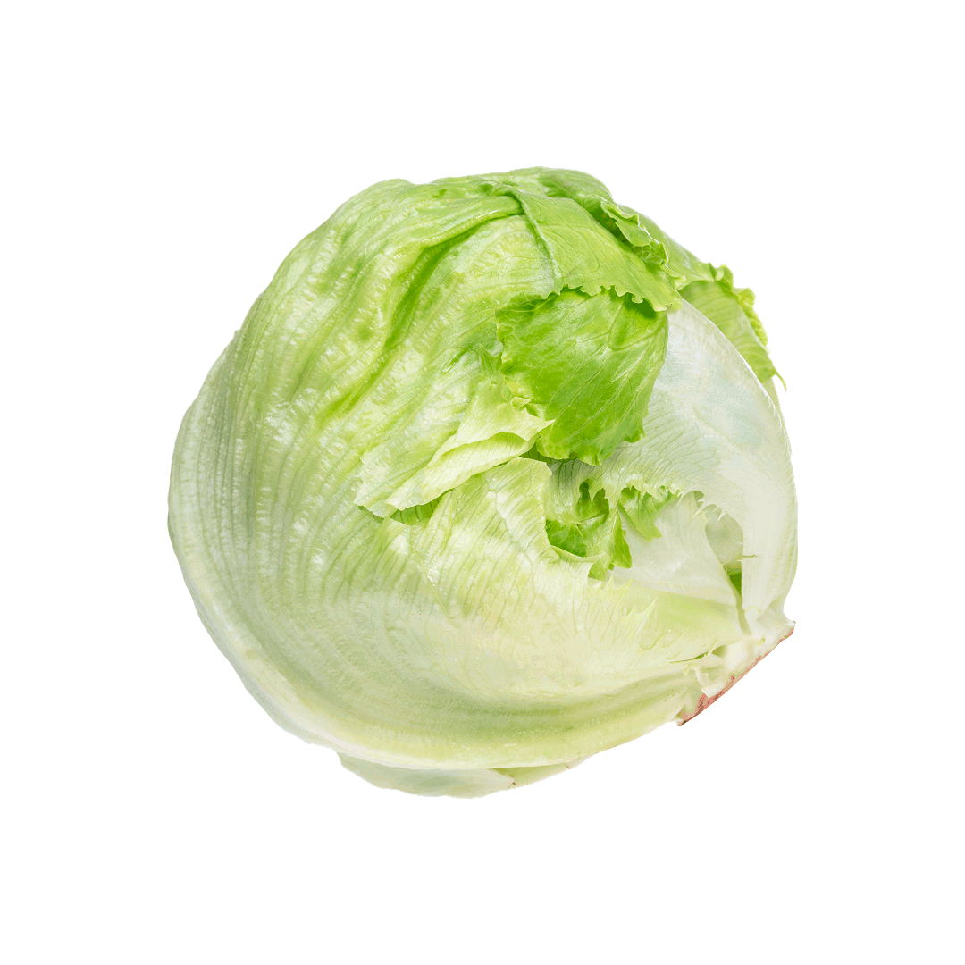 Lettuce Iceberg Holland
