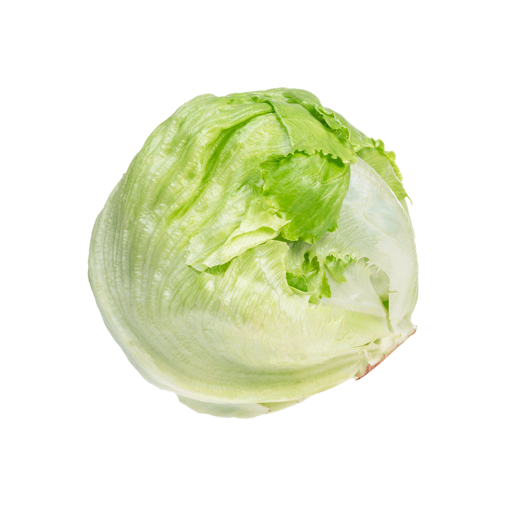 Lettuce Iceberg Holland