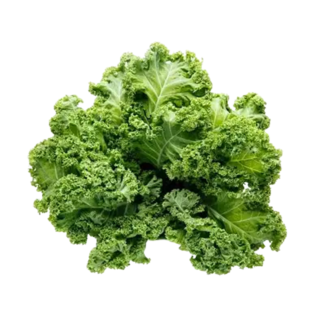 Lettuce Kale Green