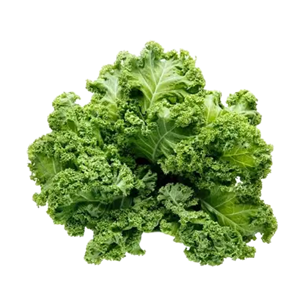 Lettuce Kale Green