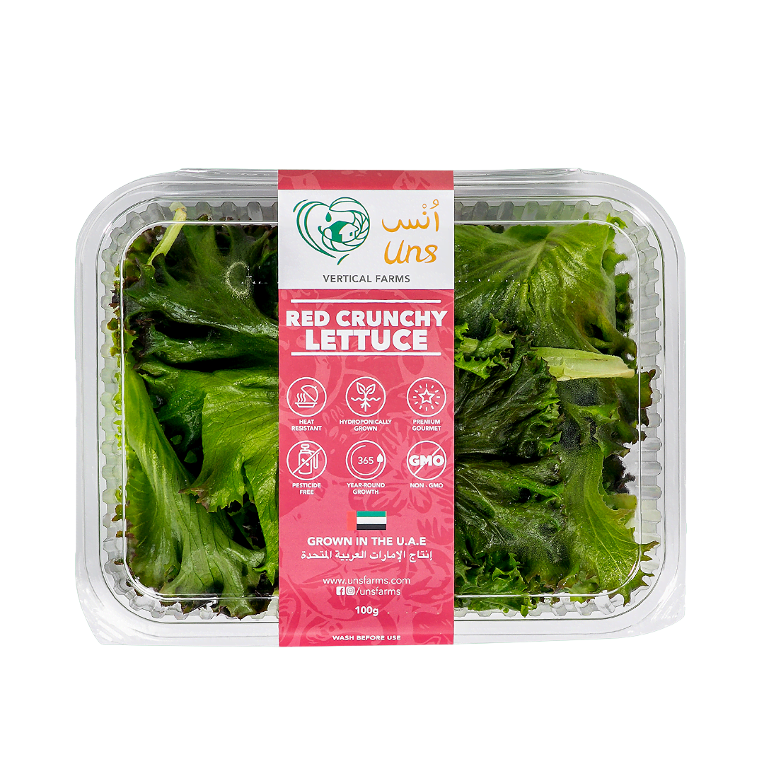 Lettuce Red (Radichhio)