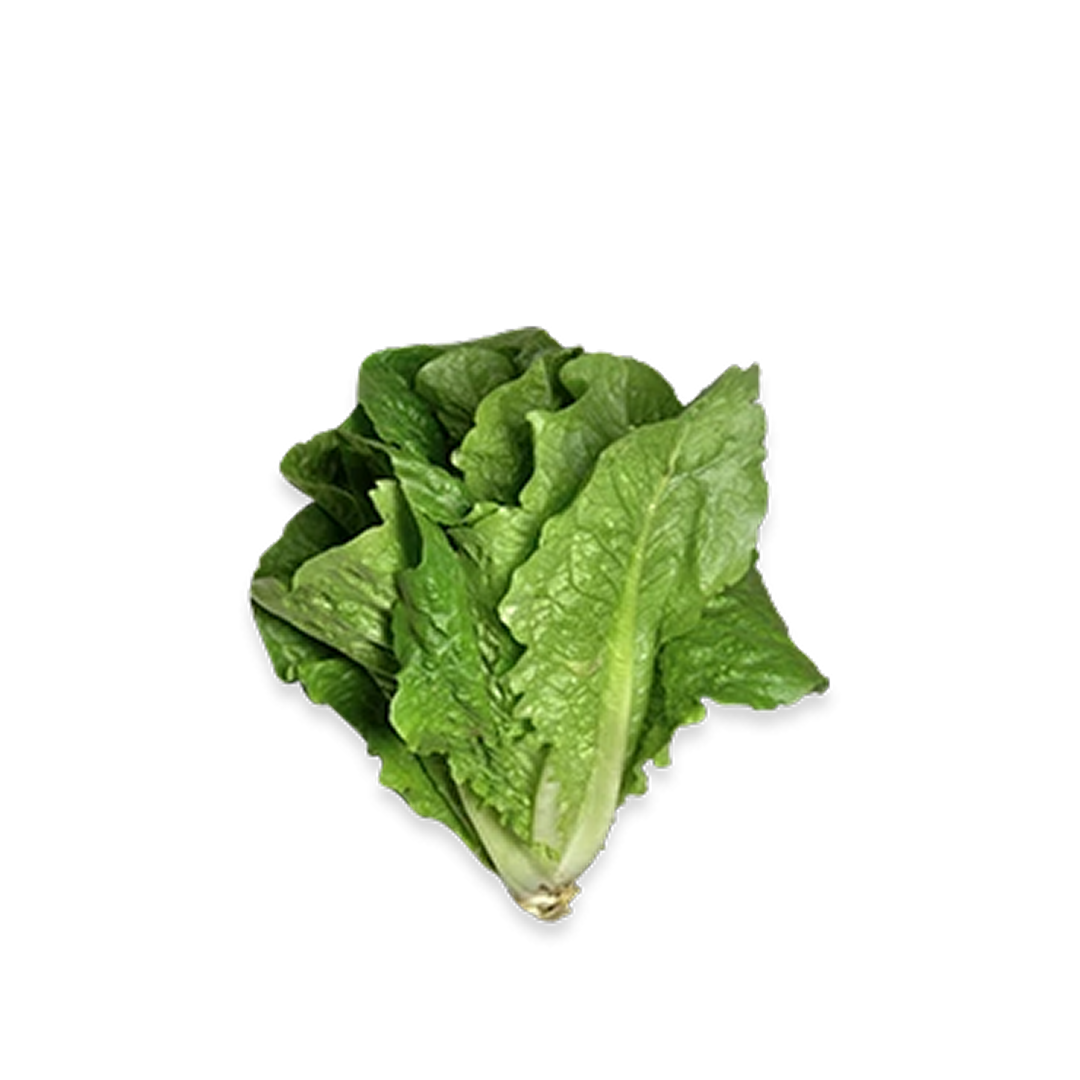 Lettuce Romaine Cut & Cleaned