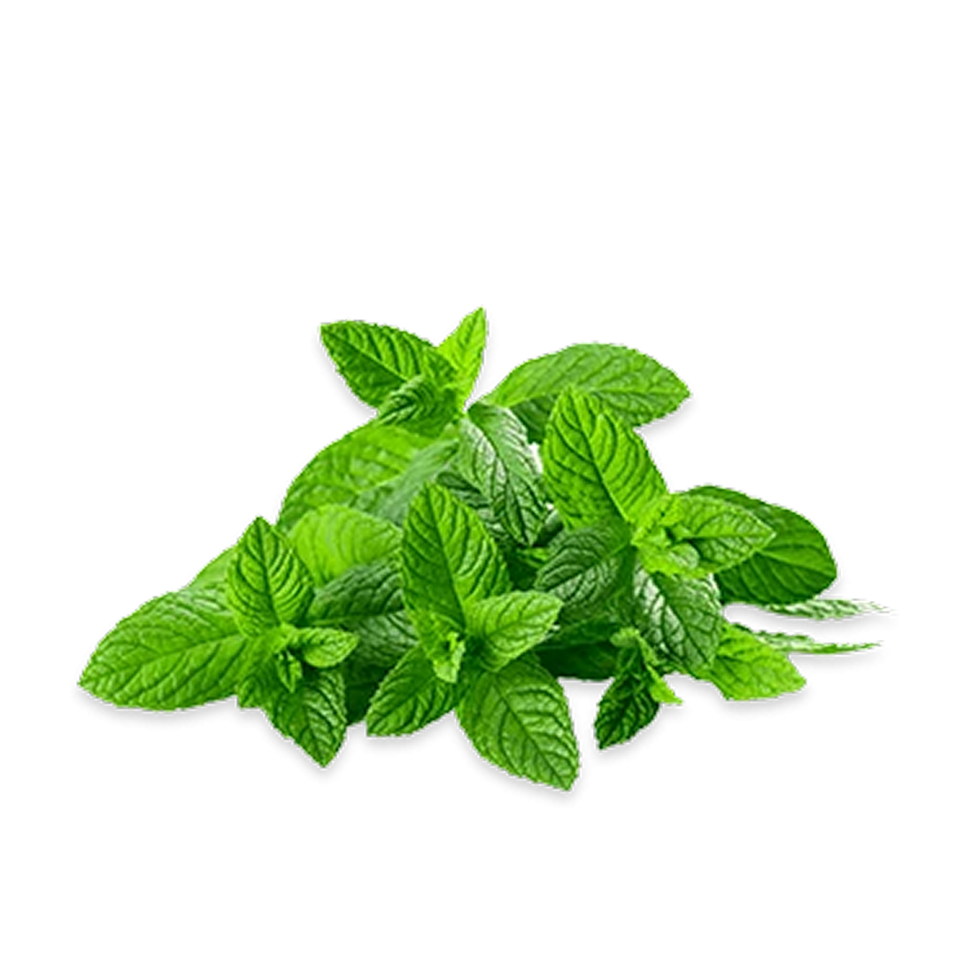 Mint Leaves Local