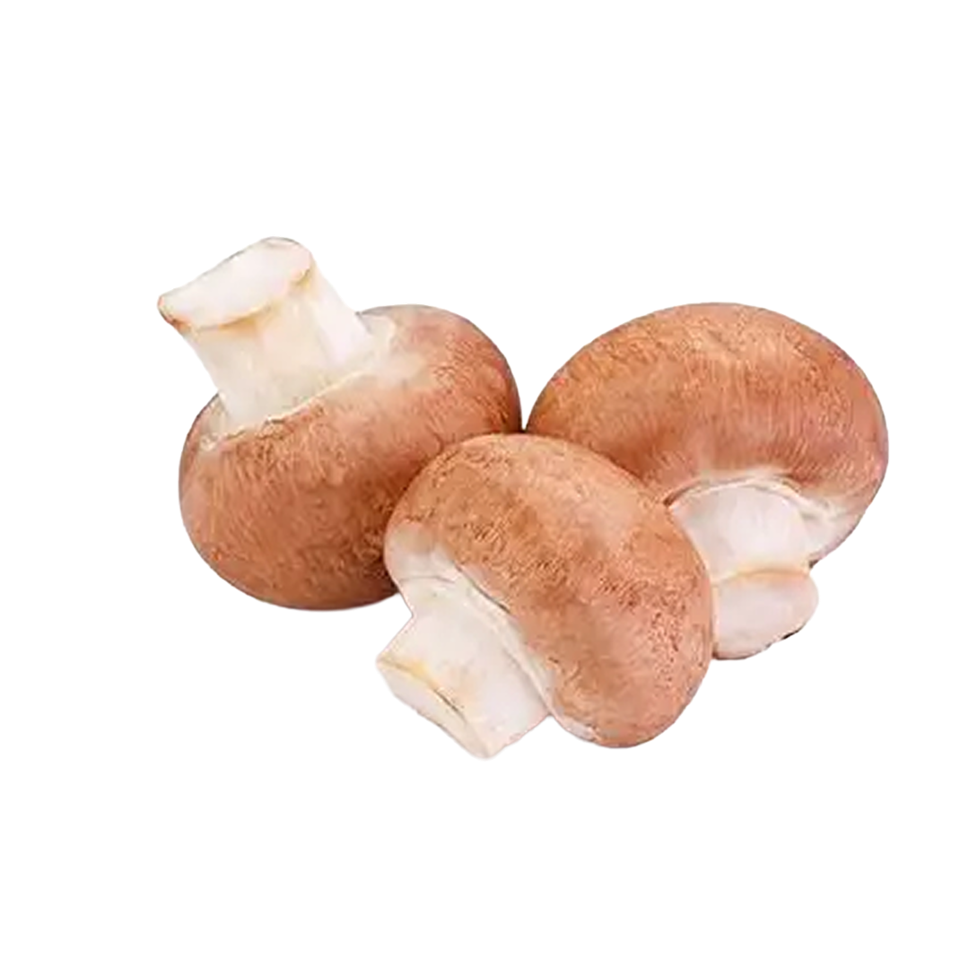 Mushroom Crimini