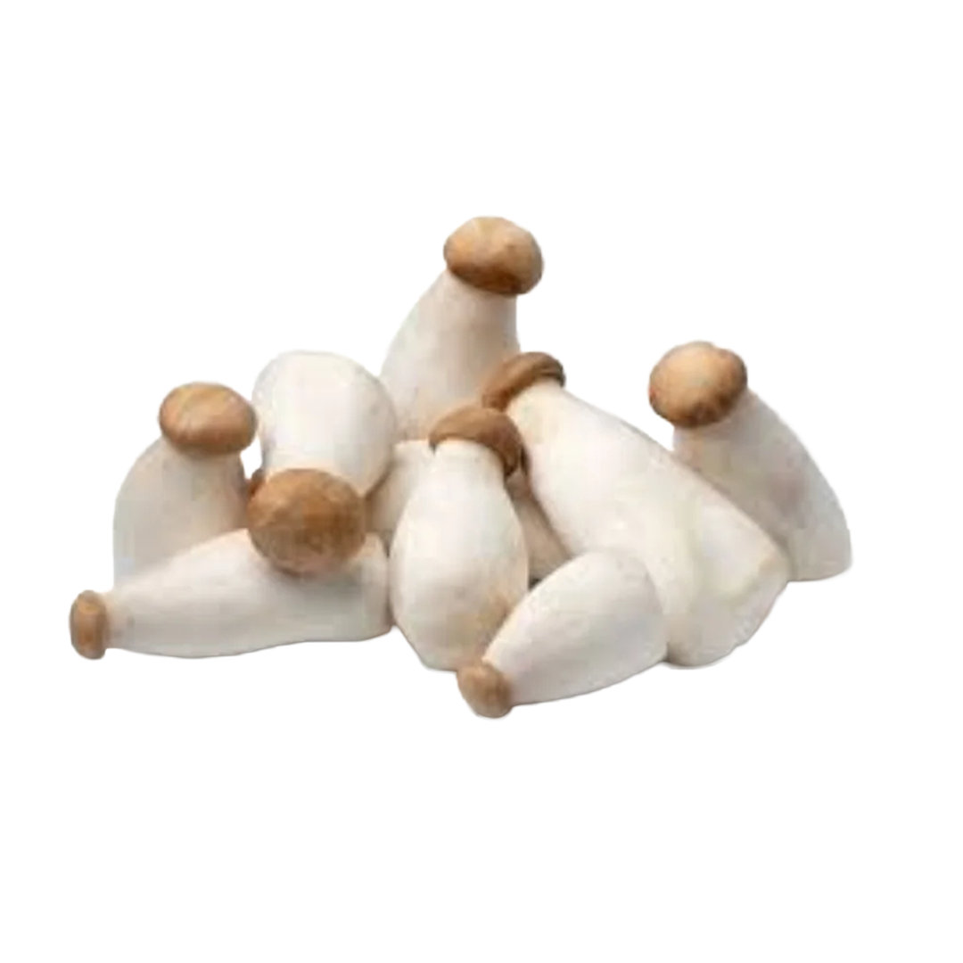 Mushroom King Star
