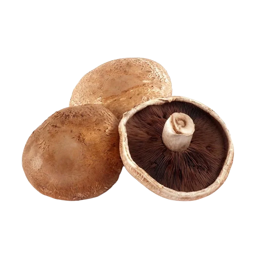 Mushroom Portebella Holland