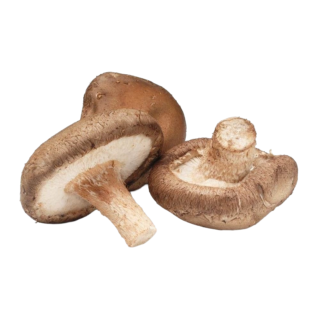 Mushroom Shitake