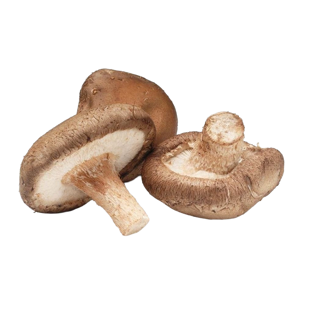 Mushroom Shitake
