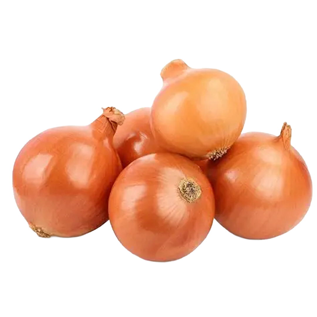 Onion Brown USA