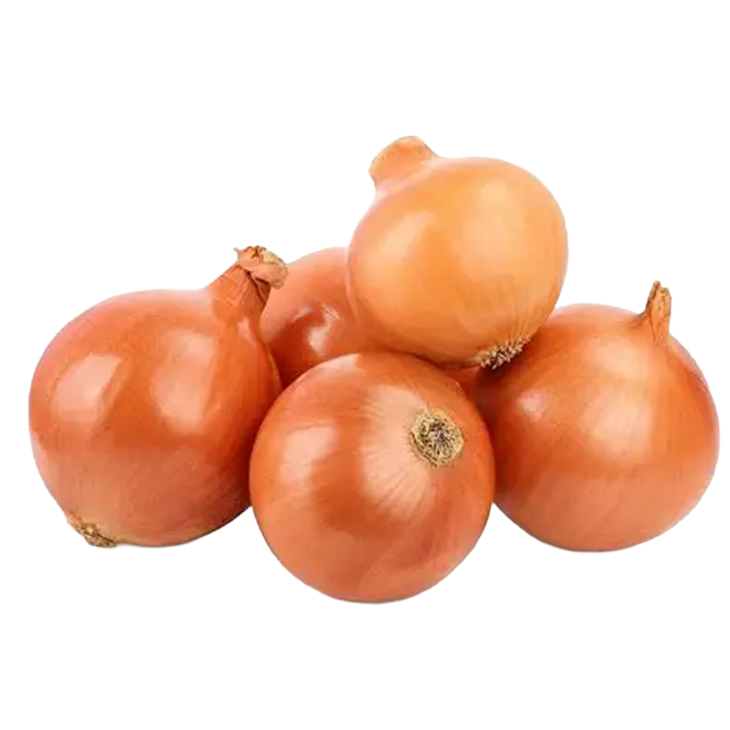 Onion Brown USA