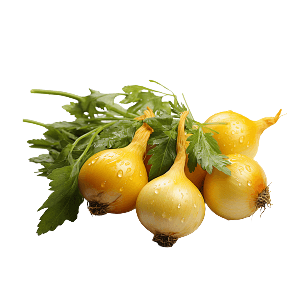 Onion White Imported