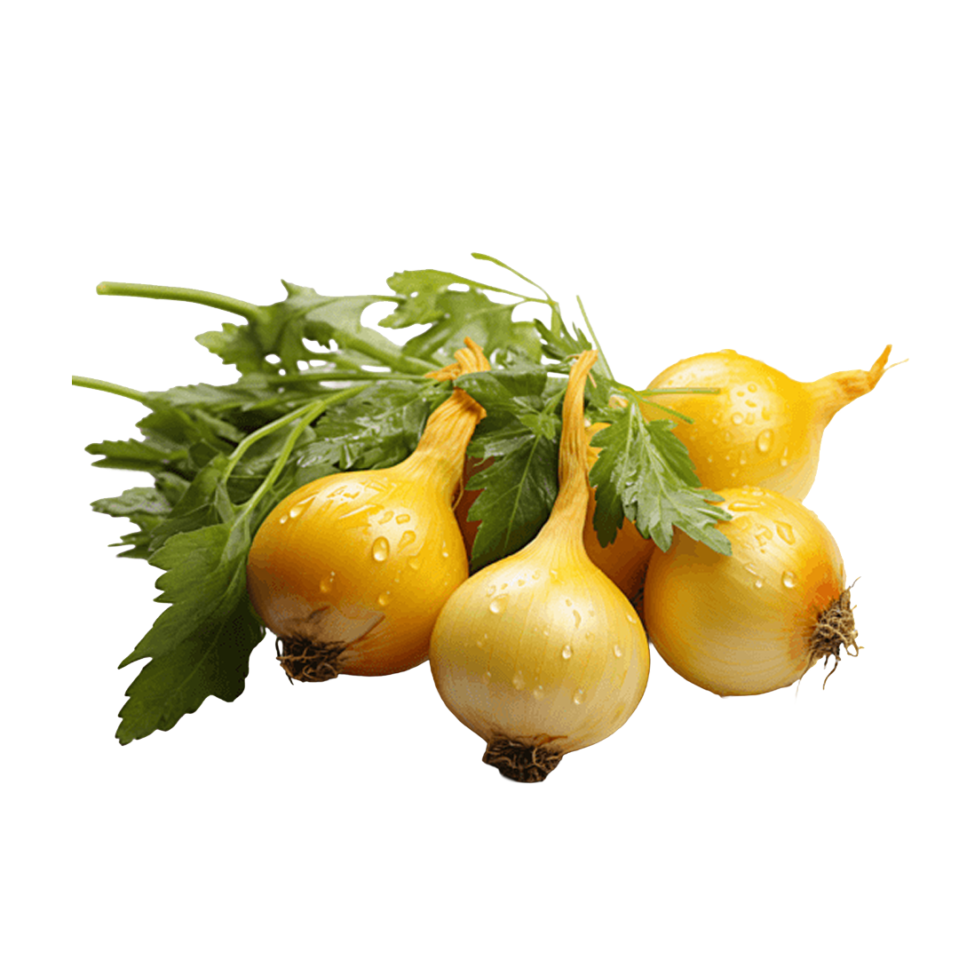 Onion Yellow