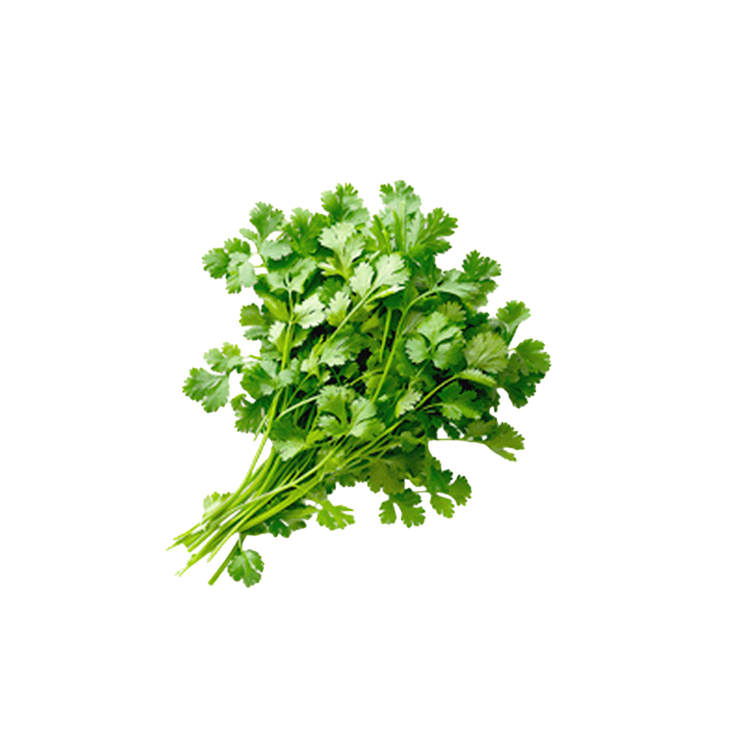 Parsley Fresh 