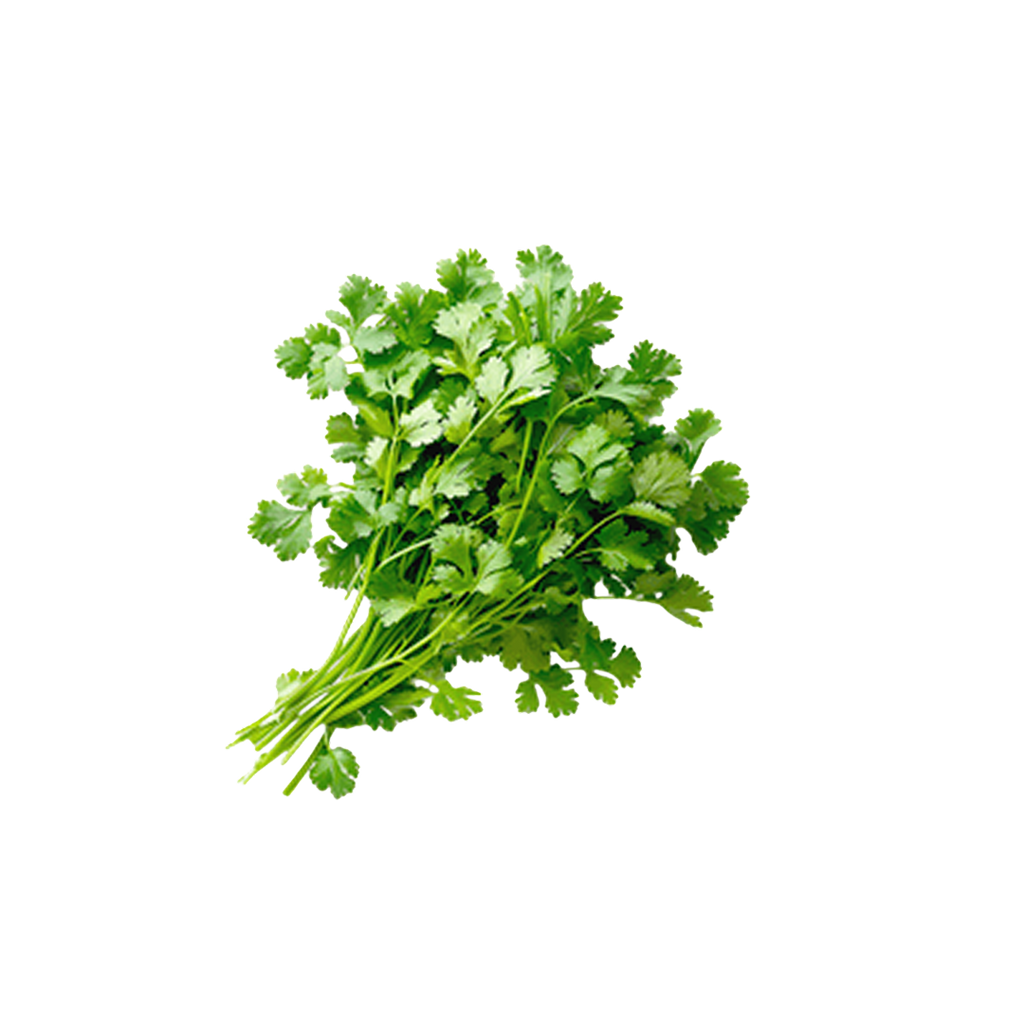 Parsley Fresh 