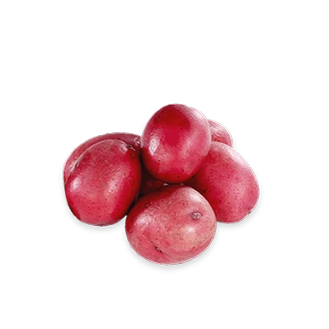 Potato Red