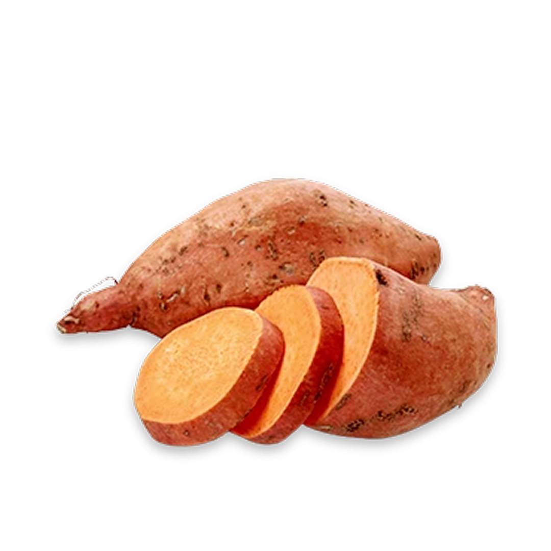 Potato Sweet Holland