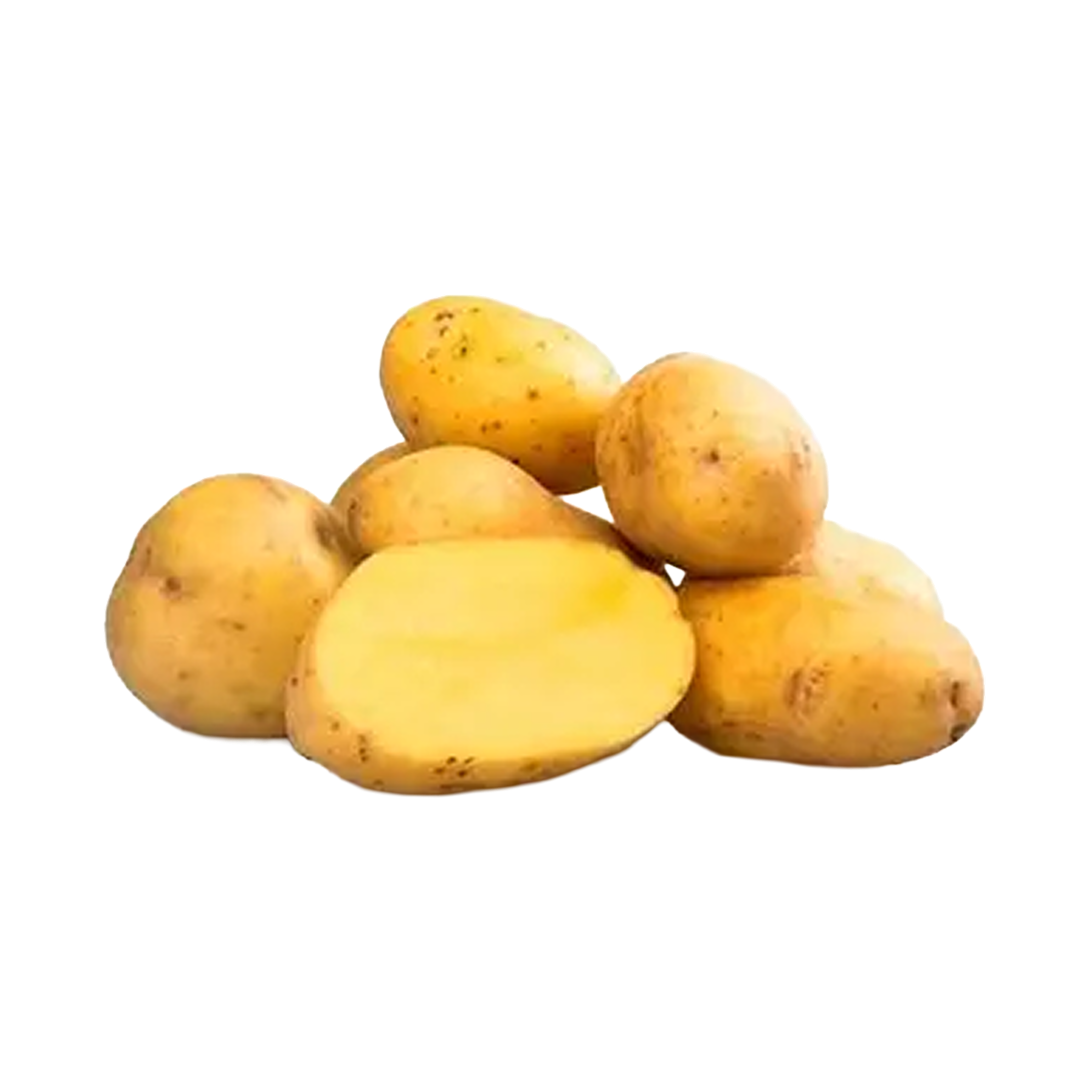 Potato Yukon